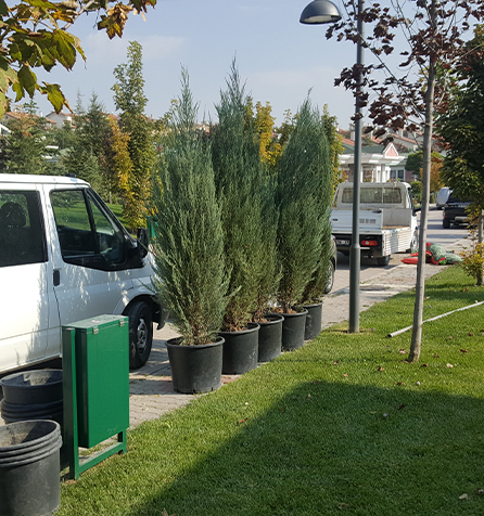 Çayyolu Sulama Sistemi ve Fidan Dikim