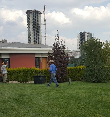 Çayyolu Sulama Sistemi ve Fidan Dikim