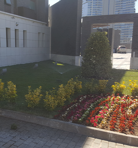 Çin Büyükelçiliği