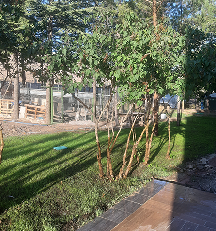 Kalyoncu Çiftlik Evi Gölbaşı