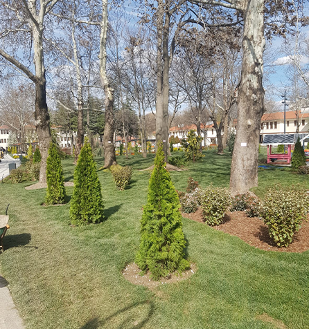 Kızılay Saraçoğlu Mah