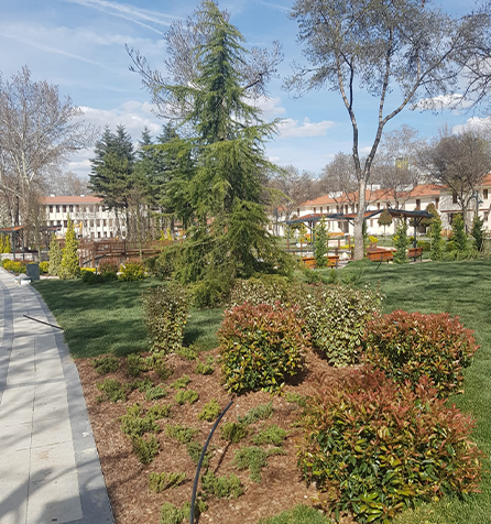 Kızılay Saraçoğlu Mah