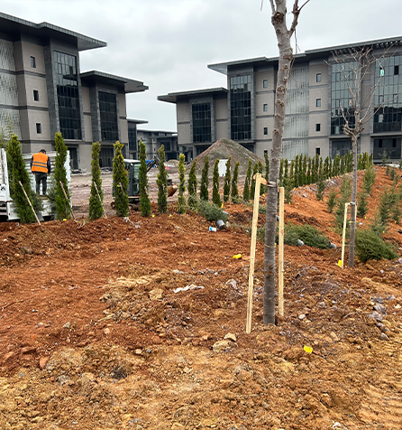 Marmara Üniversitesi