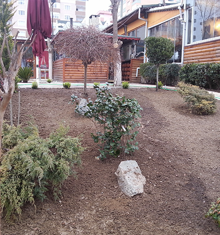 Maya Balık Restourant Beylikdüzü