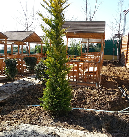 Maya Balık Restourant Beylikdüzü