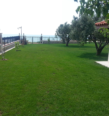 Tekirdağ şarköy çiftlik