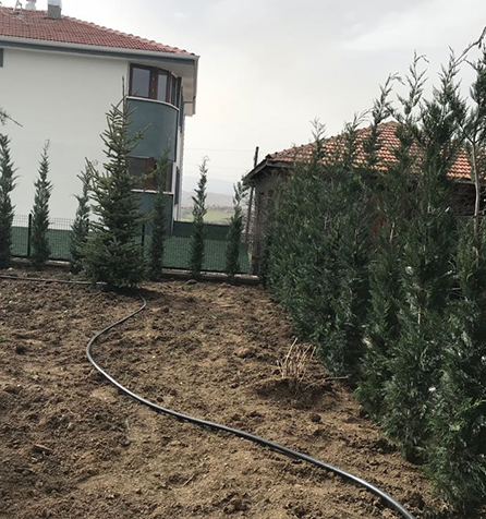 Kızılcahamam Villa Bahçesi