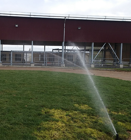 İstanbul Kurtköy Otomatik Sulama ve Rolo Çim Serim İşlemi