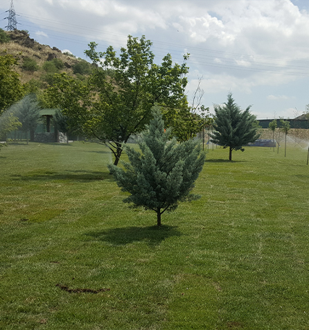 Karşıyaka Havuz Projesi