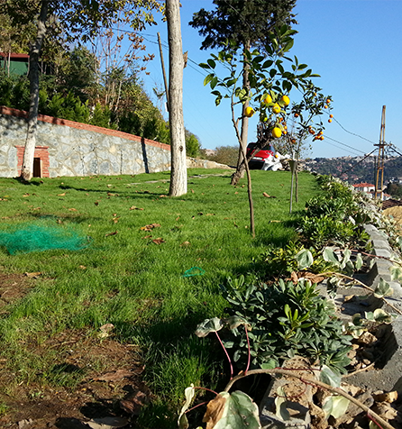 İstanbul Arnavutköy Projesi