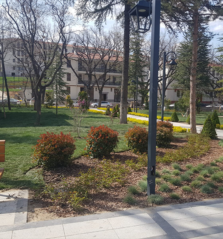 Kızılay Saraçoğlu Mah