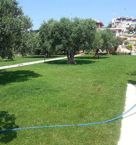 Tekirdağ şarköy çiftlik