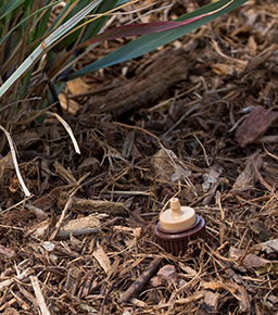 IH Yükselticileri <br><br>