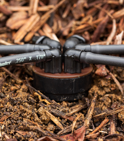 Çok Girişli Emitörler <br><br>