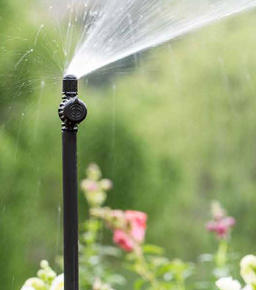 Sert Yükseltici <br><br>