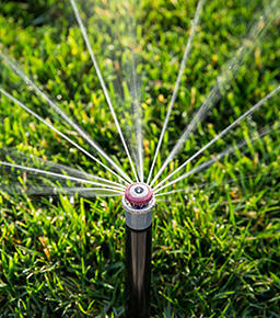 Mp Rotator® MP800 Serisi