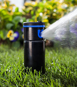 Pgb Ultra & I-20 Prb <br> <br>